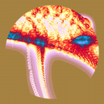 A day in Asia 20200806 DigitalMicroscope version