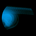 A day in Asia 20200826 DigitalMicroscope version