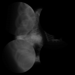 A day in Asia 20200905 CompoundDigitalMicroscope version