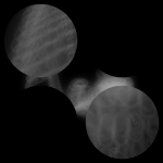 A day in Asia 20200907 CompoundDigitalMicroscope version