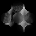 A day in Asia 20200920 CompoundDigitalMicroscope version