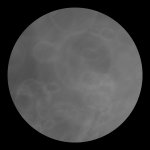 A day in Asia 20201002 DigitalMicroscope version