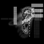 Asia with Multi-Standard 2020021013