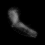 A day in Asia 20201030