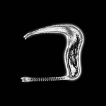 A day in Asia 20201108