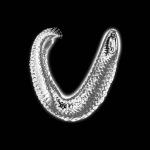 A day in Asia 20201109