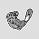 A day in Asia 20201114