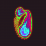 A day in Asia 20201211