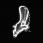 A day in Asia 20201216