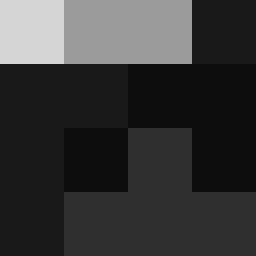 SellingLoose 460-203