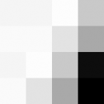 SellingLoose 460-208