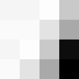 SellingLoose 460-208