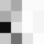 SellingLoose 462-211