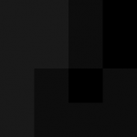 SellingLoose 463-202