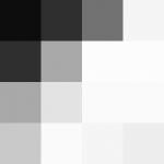 SellingLoose 463-208