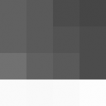 SellingLoose 469-211