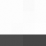 SellingLoose 470-209