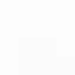 SellingLoose 470-224