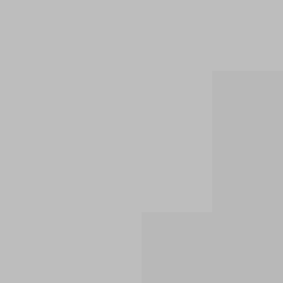 SellingLoose 500-208