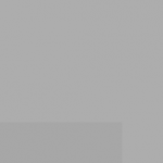 SellingLoose 500-211