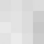 SellingLoose 502-210