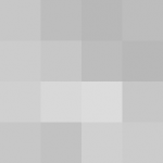 SellingLoose 503-208