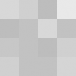 SellingLoose 503-210