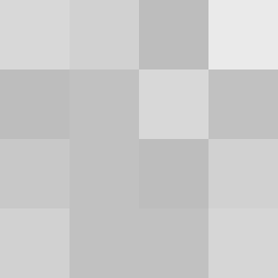 SellingLoose 503-210