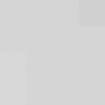 SellingLoose 509-203