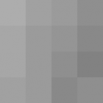 SellingLoose 509-209