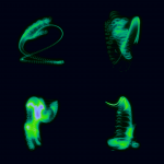 A day in Asia 20200301