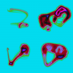 A day in Asia 20200304