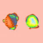 A day in Asia 20200319 CompoundDigitalMicroscope version