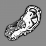 A day in Asia 20201225