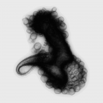 A day in Asia 20201227