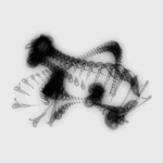 A day in Asia 20201228