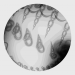 A day in Asia 20201228 DigitalMicroscope version