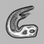 A day in Asia 20201229