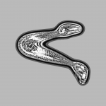 A day in Asia 20201231