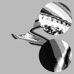 A day in Asia 20201231 CompoundDigitalMicroscope version 2