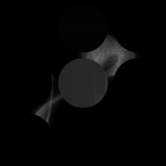 A day in Asia 20210107 CompoundDigitalMicroscope version 2