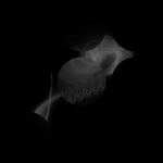 A day in Asia 20210107 CompoundDigitalMicroscope version