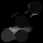 A day in Asia 20210108 CompoundDigitalMicroscope version 2