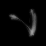 A day in Asia 20210109