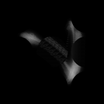 A day in Asia 20210109 CompoundDigitalMicroscope version