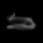 A day in Asia 20210112