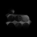 A day in Asia 20210112 CompoundDigitalMicroscope version