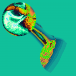 A day in Asia 20210118 CompoundDigitalMicroscope version