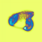 A day in Asia 20210119