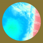 A day in Asia 20210120 DigitalMicroscope version